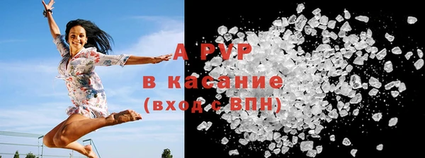 a pvp Бородино